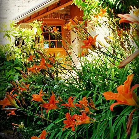 Chez Fifine Mont-Saint-Eloi