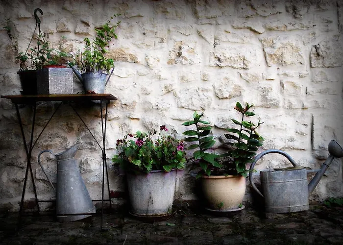 Chez Fifine Mont-Saint-Eloi