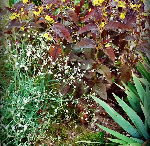 Hébergement de vacances Chez Fifine Mont-Saint-Eloi