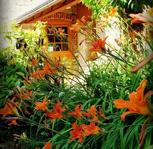 Chez Fifine Mont-Saint-Eloi