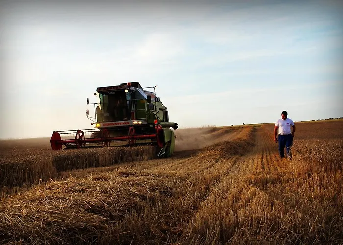 Chez Fifine Mont-Saint-Eloi